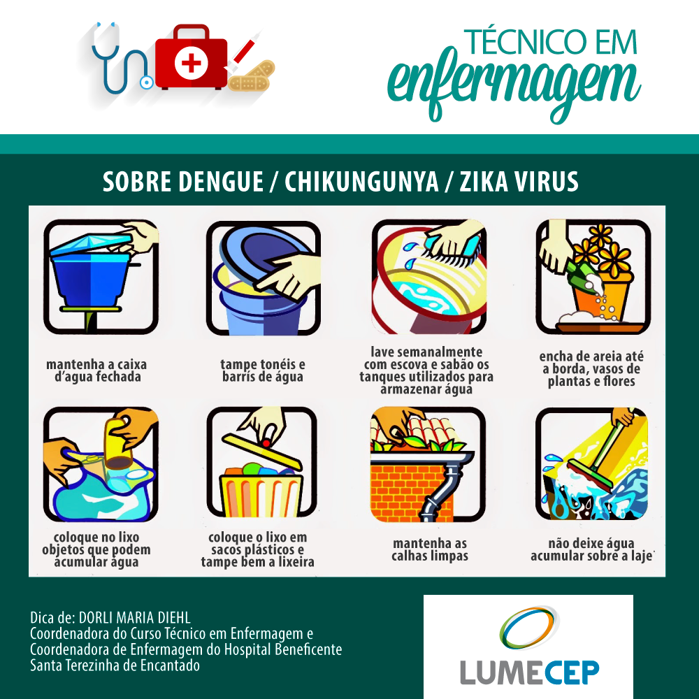 mosquito-prevenção