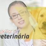 foto-notícia