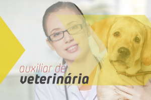 foto-notícia